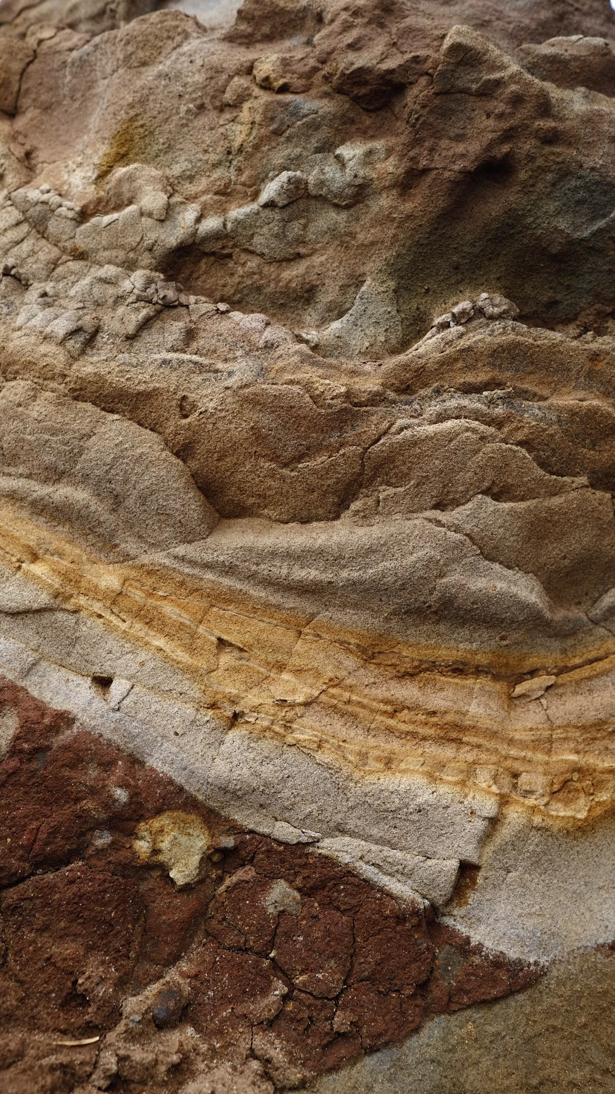 Rilevamento geologico su parete rocciosa